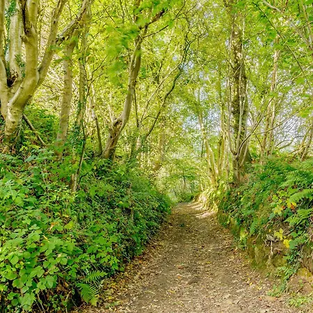 3 Bed In 88958 Сasa de vacaciones